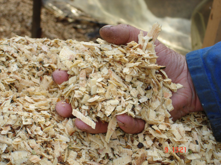 Des copeaux de bois homogènes tenus en main